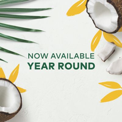 Keurig Island Coconut Coffee - Image 2